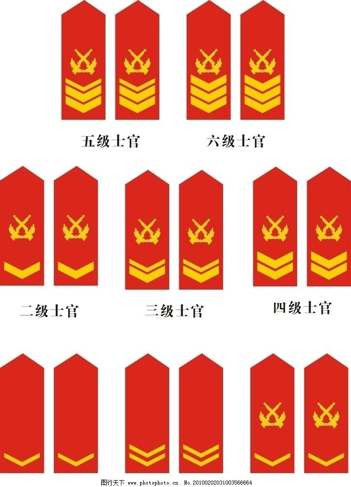 中国人民解放军武警士官常服肩章