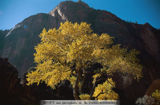 森林 绿树 高山 森林免费下载 自然景观 图片素材 风景生活旅游餐饮