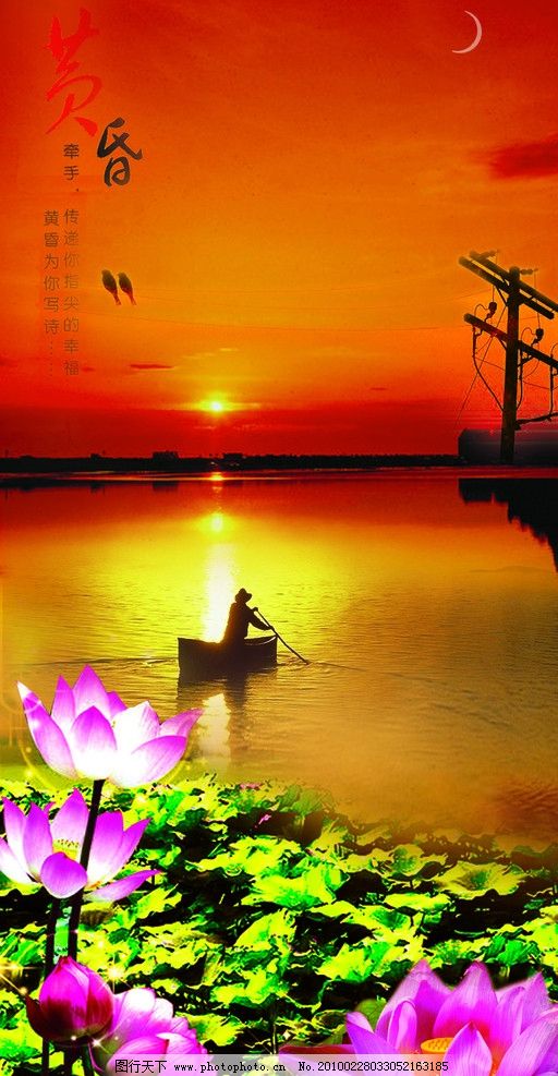 黄昏 荷花 小船 树 河流 黄色 美景 夕阳 风景 自然风景 自然景观