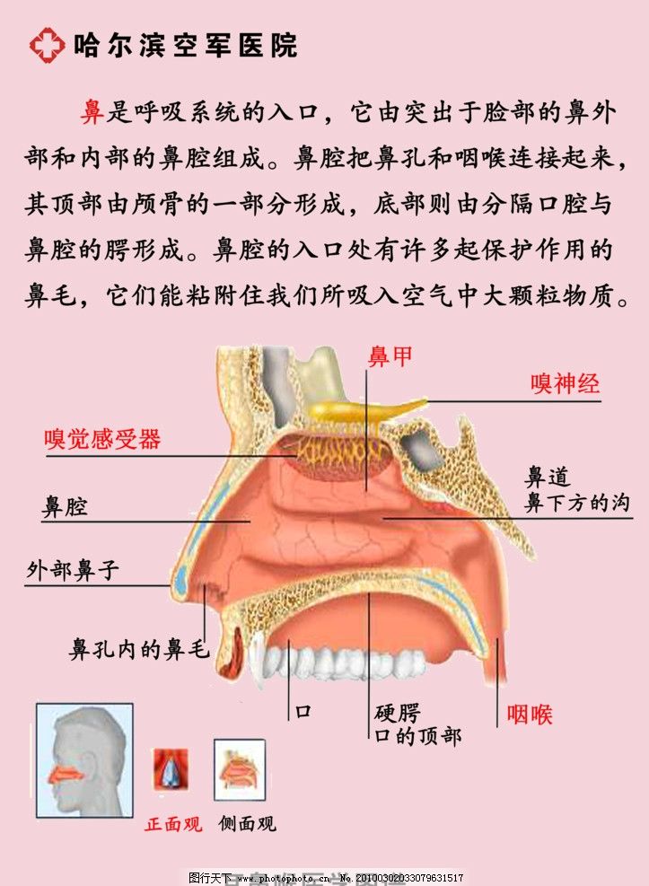 鼻科 鼻窦炎 【潍坊耳鼻喉医院】专家提醒:鼻窦