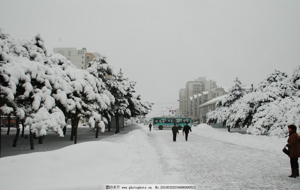 雪景 雪 树 路 自然风景 自然景观 摄影 300dpi jpg