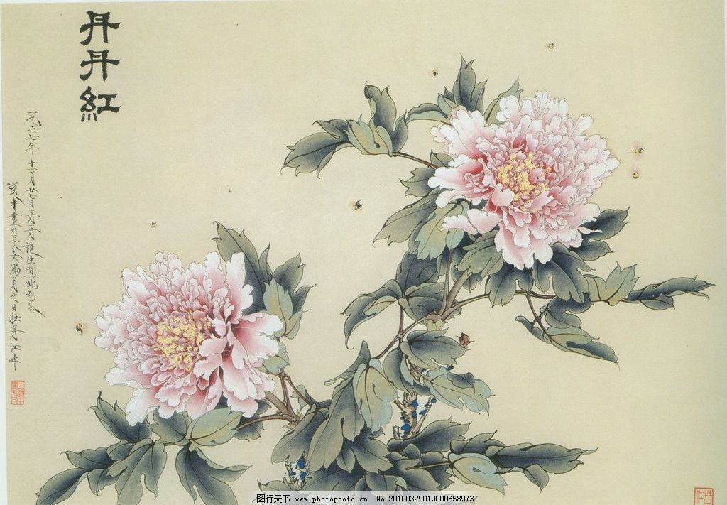 国画牡丹 国画 牡丹 蜜蜂 工笔画 绘画书法 文化艺术 设计 350dpi jpg