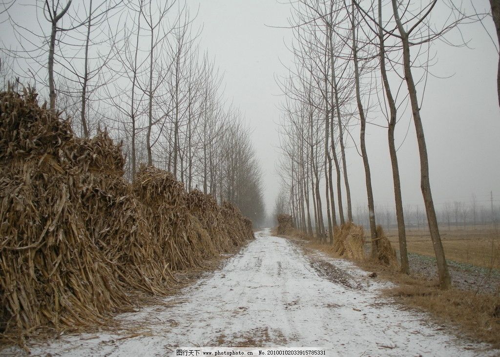 冬雪 冬天 下雪 鄉村小路 草垛 雪地 樹木 田野一望無垠 樹枝 國內