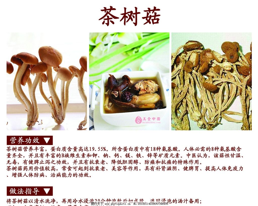 茶树菇 营养功效 做法指导 菇类图片 生图 熟图 干货 室内写真